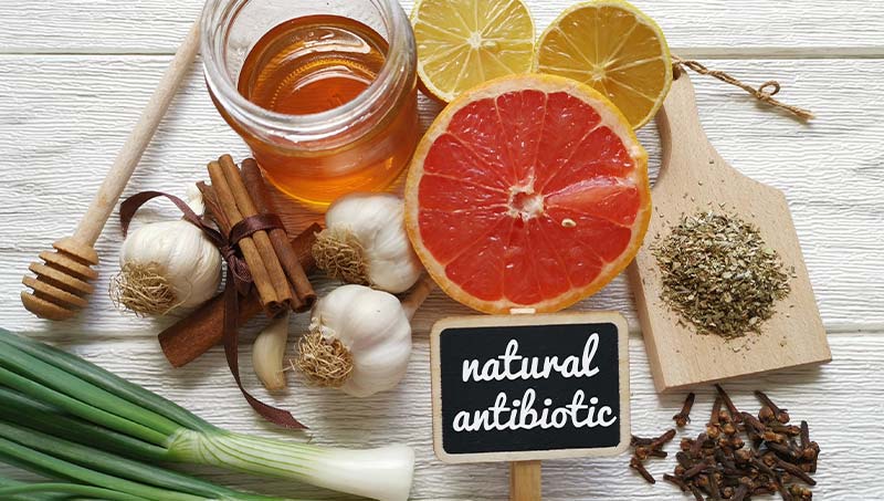 a Austin chiropractor at True Chiropractic explains 11 natural antibiotics